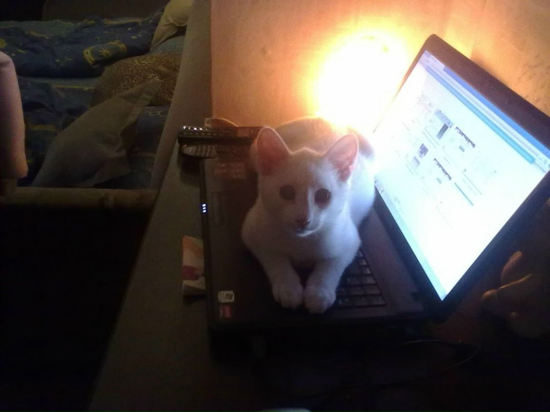 Ирина Григорьева ▀▄▀▄▀▄▀ | Санкт-Петербург