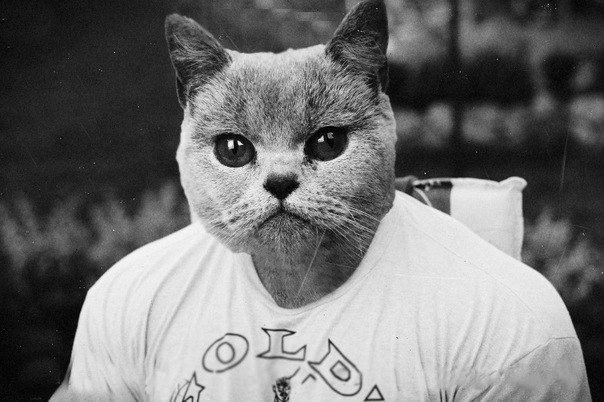 Илья Осотов | Дебесы