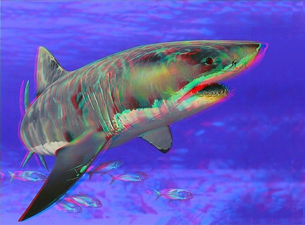 Лилия Заляева Маршал Жуков | Казань