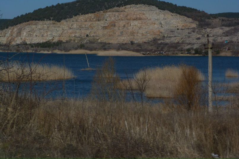 Алёна Мартынюк | Севастополь