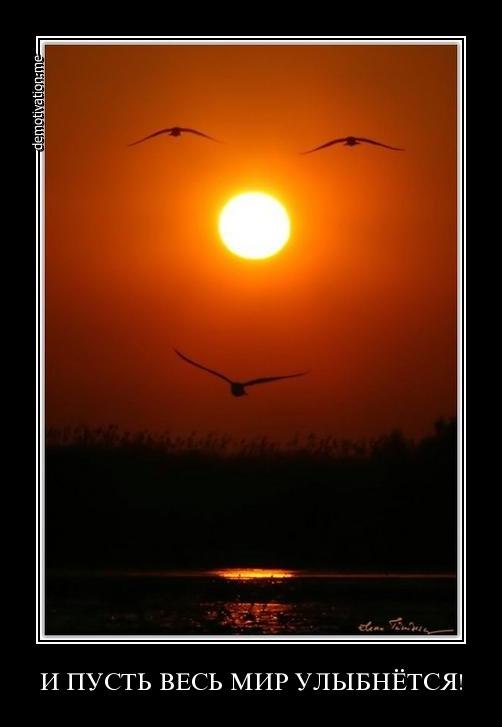 Алексей Низамов | Великие Луки