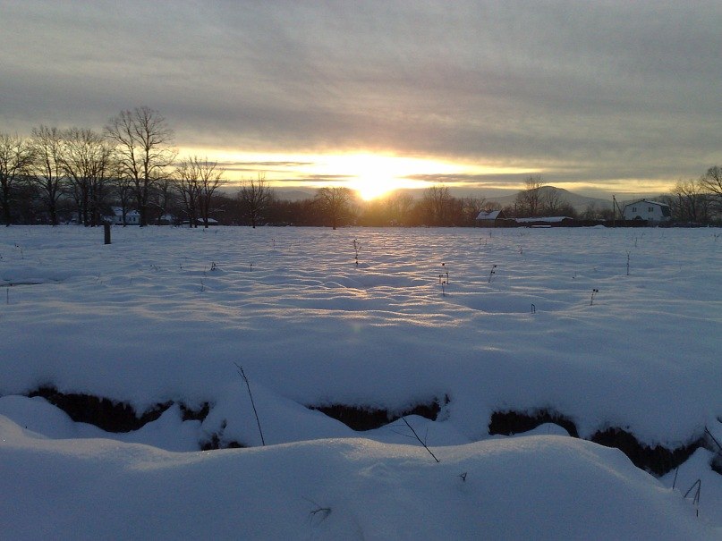 Дмитрий Новиков dim@x | Мариуполь