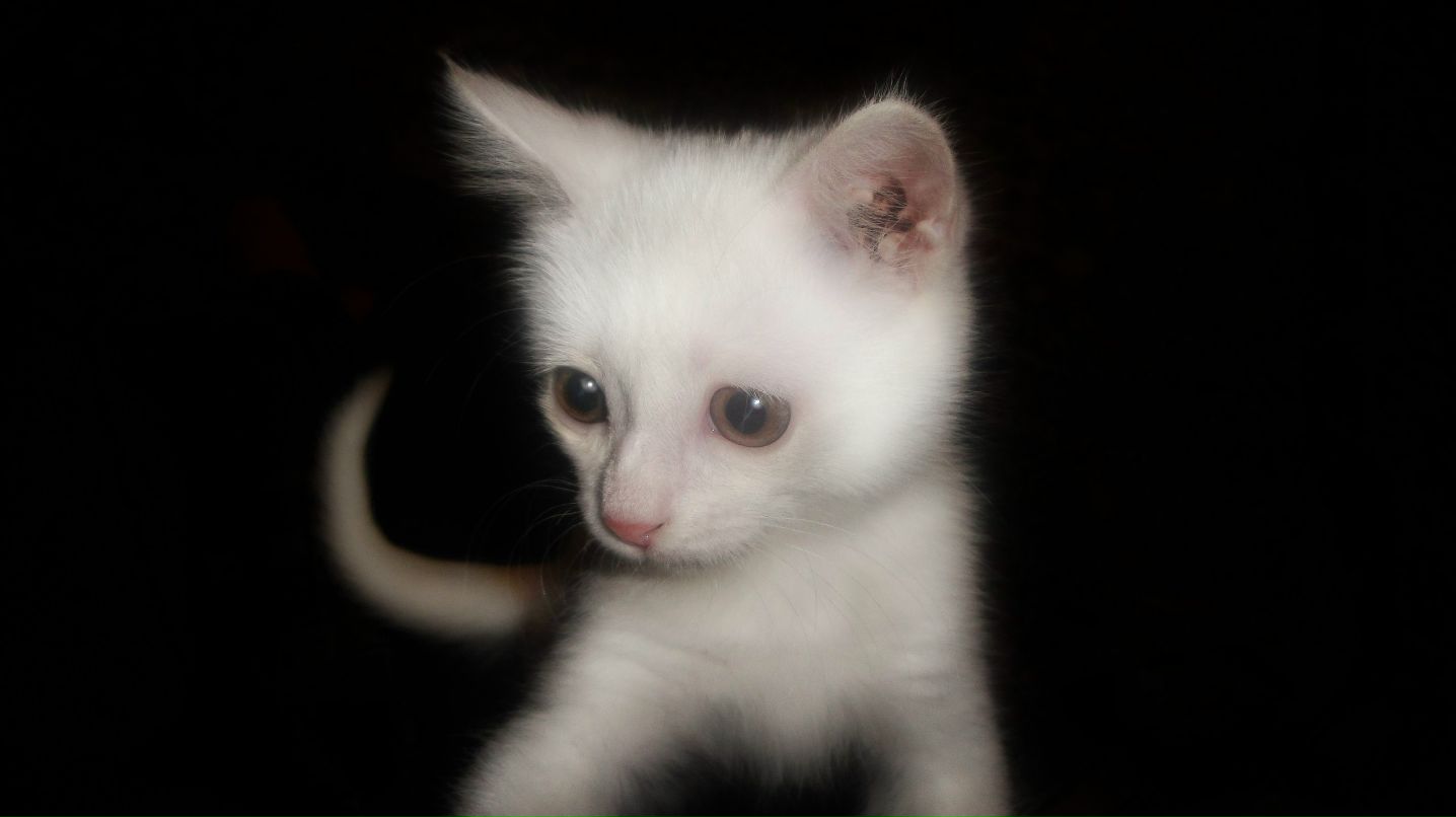 Павел Бакума ★ | Тверь