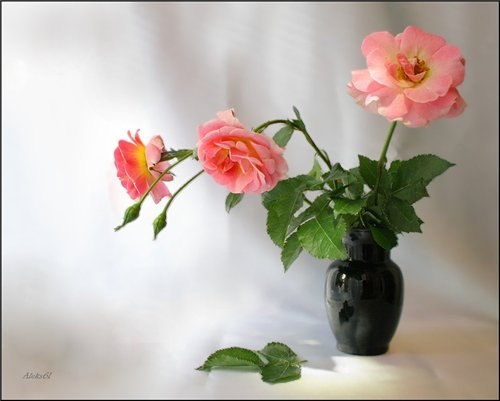 Инна Лукина | Санкт-Петербург