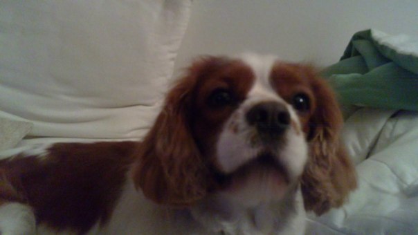 №24, Oleksandr Dzhurko, Симферополь №24, Oleksandr Dzhurko, Симферополь