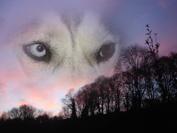 Алёна Уткина Полночь♥♥♥ | Чебоксары