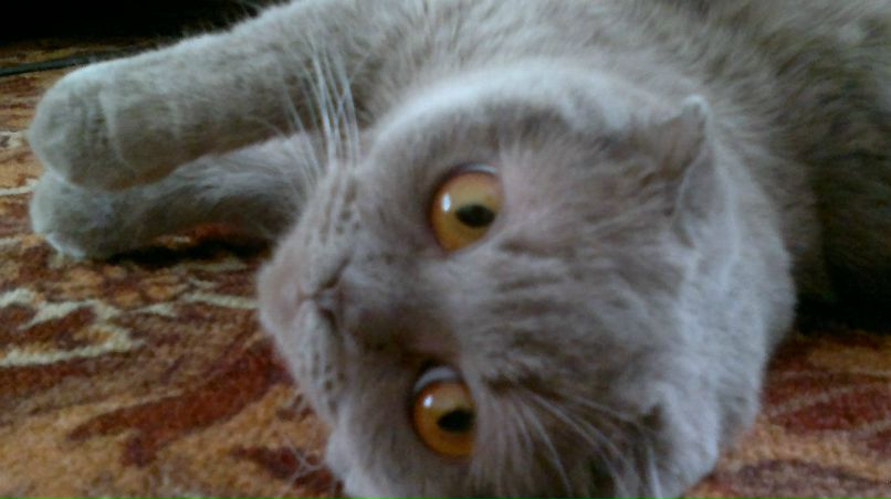 Ольга Драницына | Тула