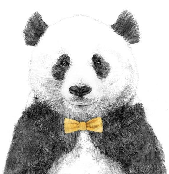 Сергей Торопов | 