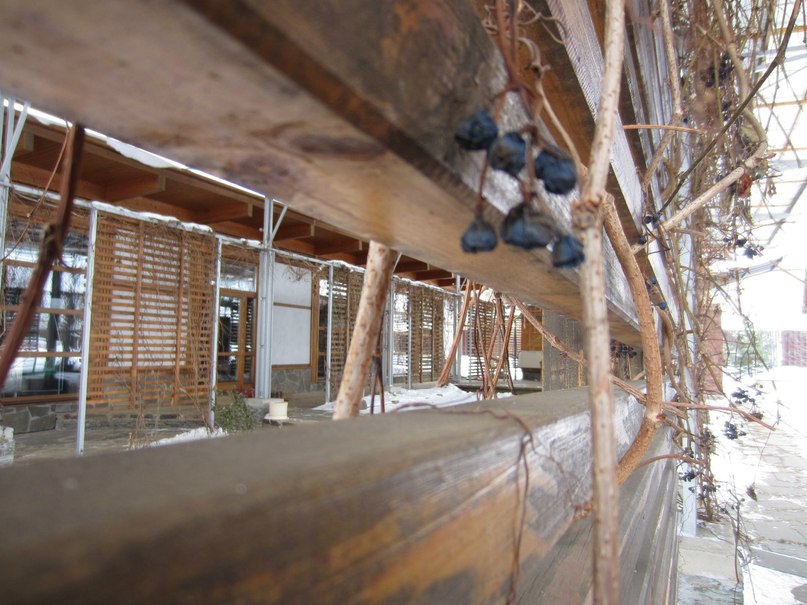 Юлия Мокеева | Москва