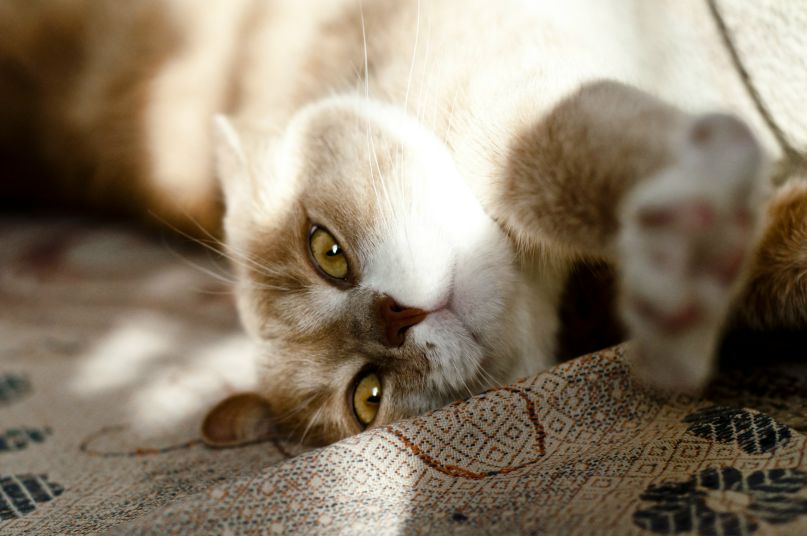 Денис Макогон | Харьков