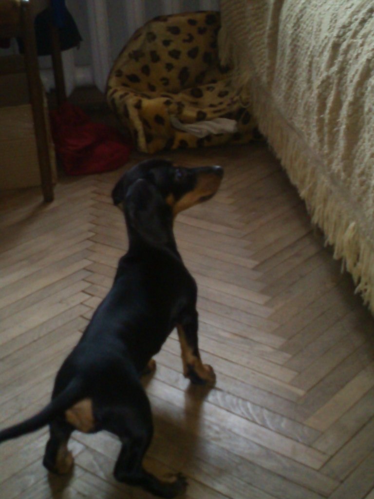 Ольга Синькова | Санкт-Петербург