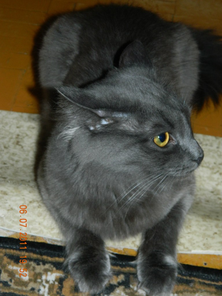 Евгений Мельниченко W | Челябинск