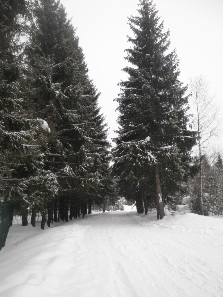 Руслан Пилипчук | Киев