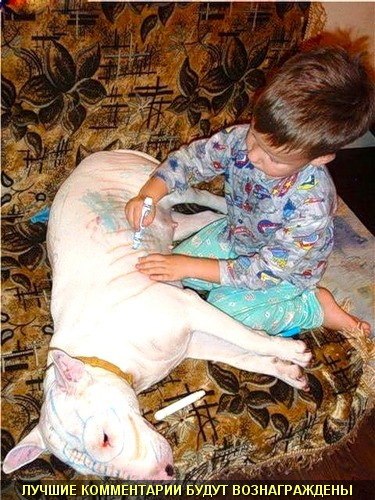 Кирилл Владимирович | Грязи