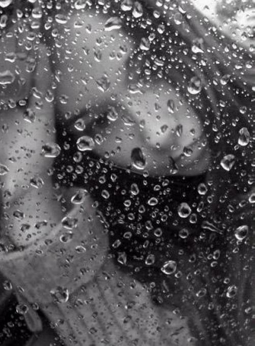 Ольга Бутенко | Санкт-Петербург