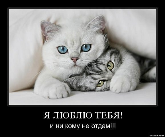 №7, Елена Касьянова №7, Елена Касьянова