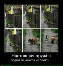 Фотография Сергей Осокин