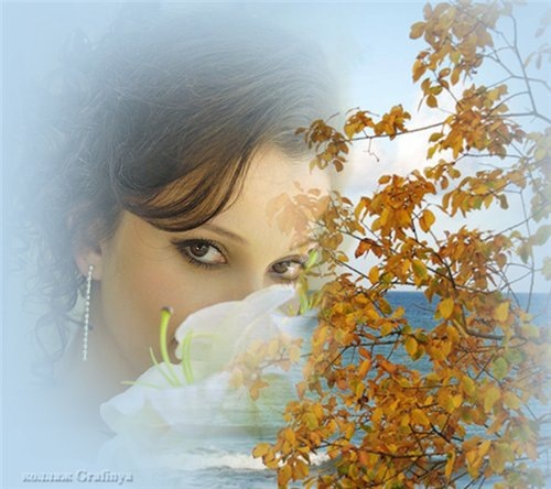 №12, Виктория Пищулина №12, Виктория Пищулина