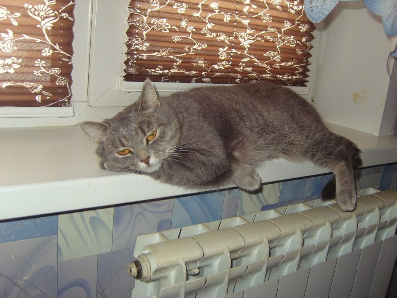 №47, Светлана Дюкова, Красноярск №47, Светлана Дюкова, Красноярск