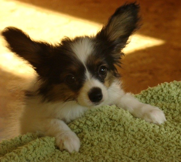 Вадим Котухов | Москва