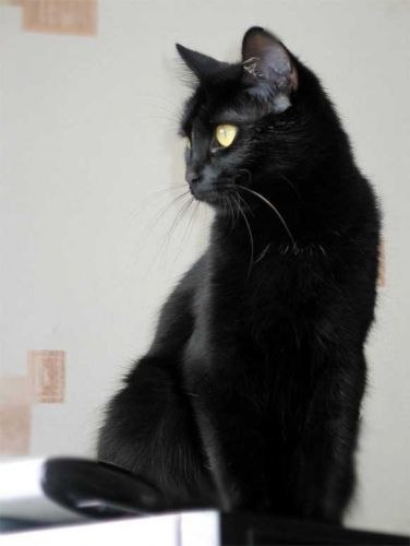 ***EMRE @@@*** | Alanya