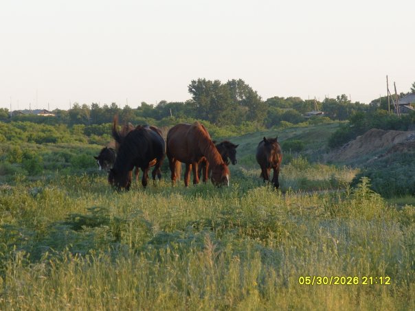 №45, Анастасия Корчагина, Челябинск №45, Анастасия Корчагина, Челябинск