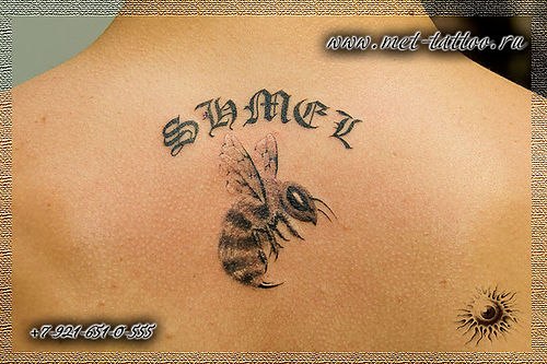 Александр Новиков | Новочеркасск