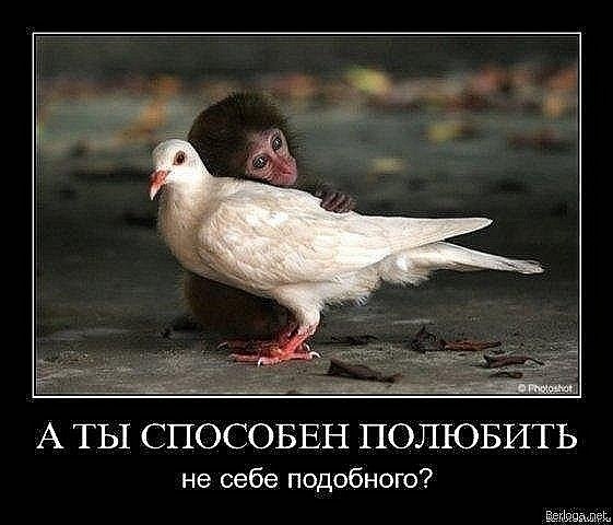 Лилия Литвиненко | Киев