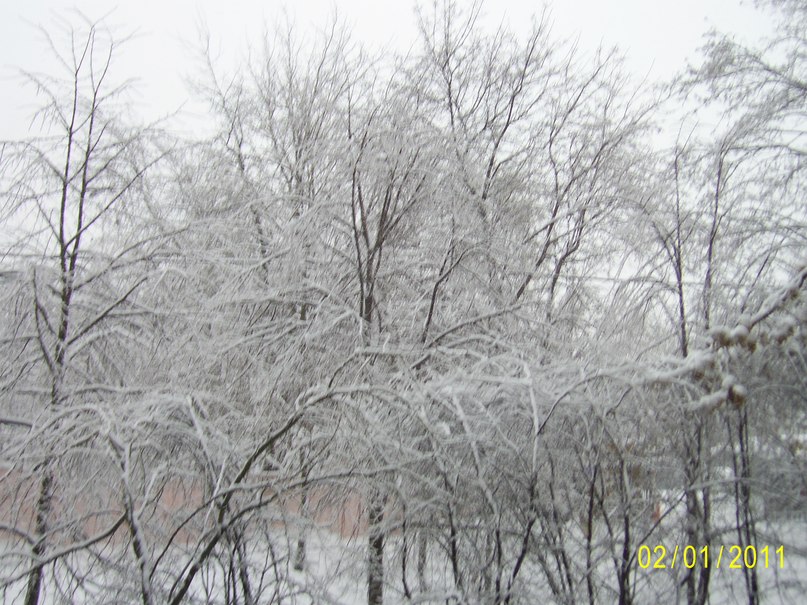 Михаил Савичев | Москва