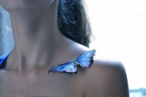 Лілія Коваленко | Nola