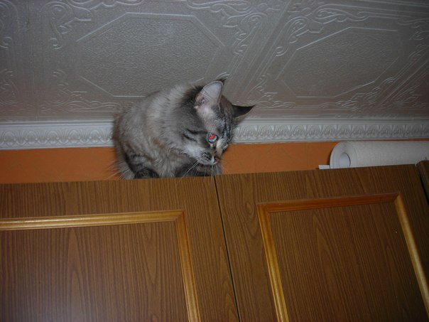 №116, Надежда Григорьева, 14.06.1954, Всеволожск №116, Надежда Григорьева, 14.06.1954, Всеволожск