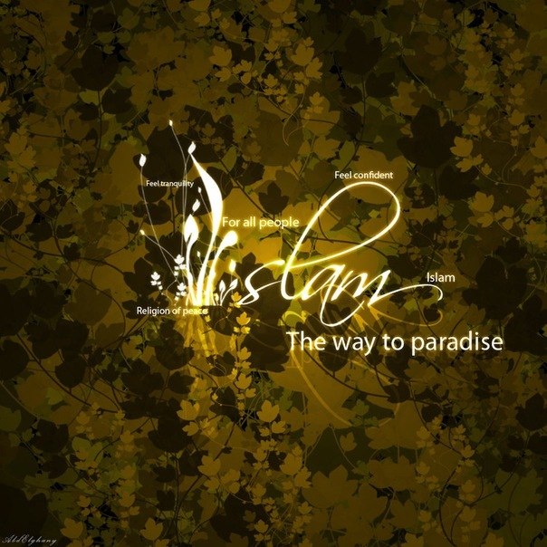 Bulat Fayzrahmanov | Seattle