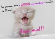 №11 Марина Тимофеева 16.06.1999: профиль, фото, статус - ВКонтакте №11 Марина Тимофеева 16.06.1999: профиль, фото, статус - ВКонтакте