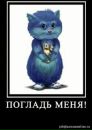 Фотография Ян Кирюхин