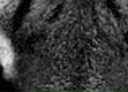 Алёна Тихомирова | Вышгород