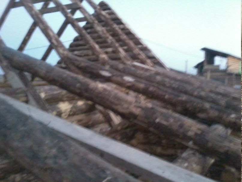 Денис Шампаров | Вологда