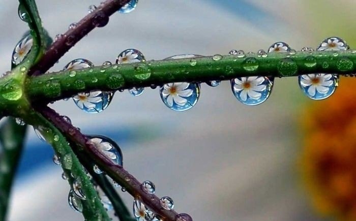 Елена Струк | Чебоксары