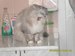 Ник Каморин фотография #3