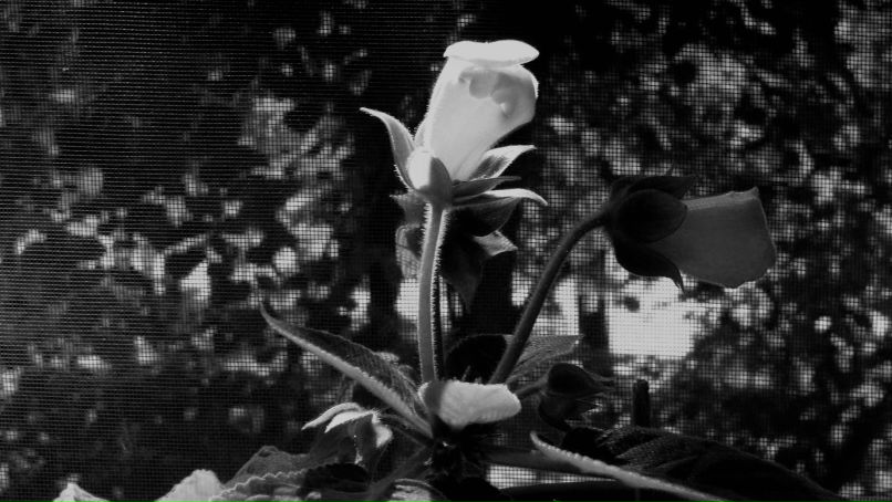 Владимир Шапран | Киев