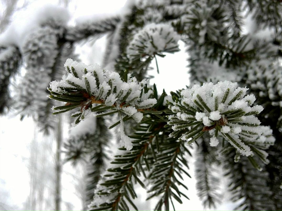 Lelik Светозаров | Мытищи