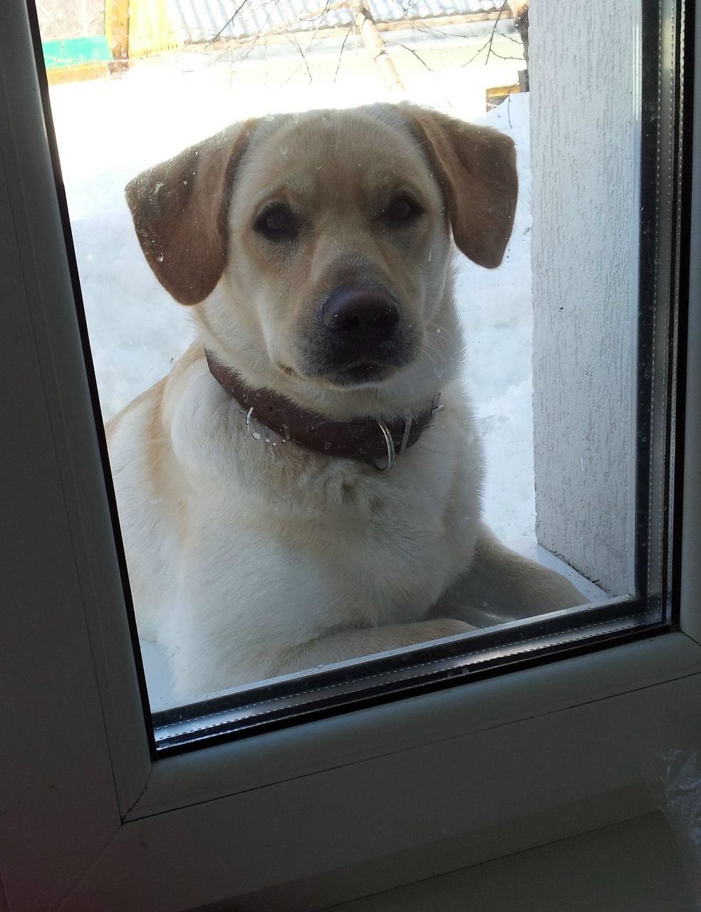 Анвар Манапов | Нижнекамск