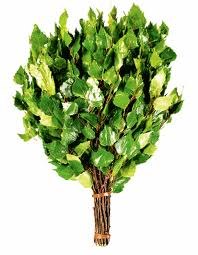 Татьяна Страшникова | Киев