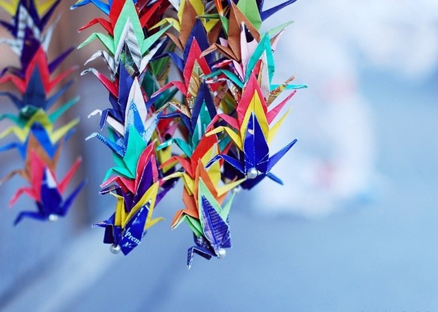 Анастасия Капийчук | Белгород