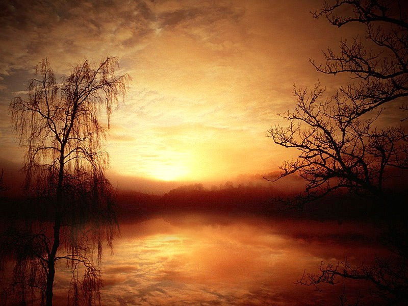 Роман Чигвинцев | Ижевск