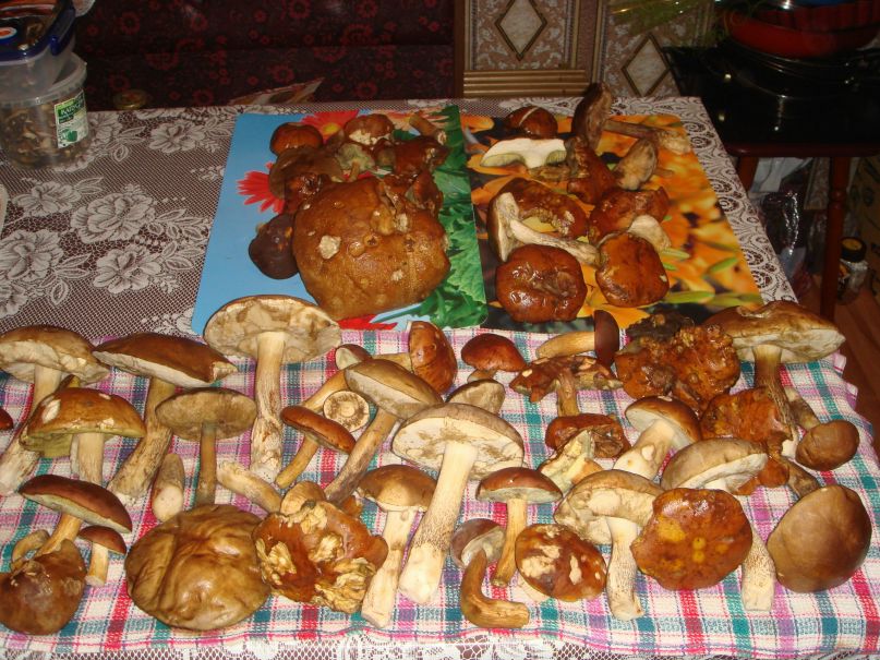 Константин Лебедев | Москва