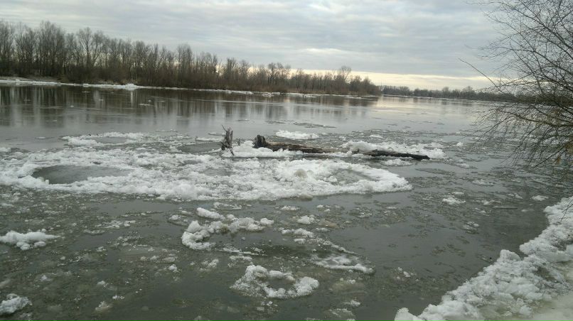 Андрей Поролло | Бровары