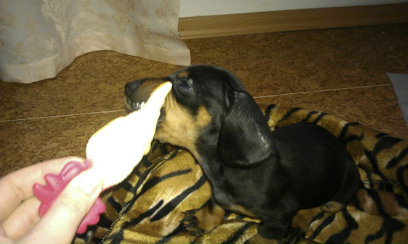 Лена Малявская | Николаев