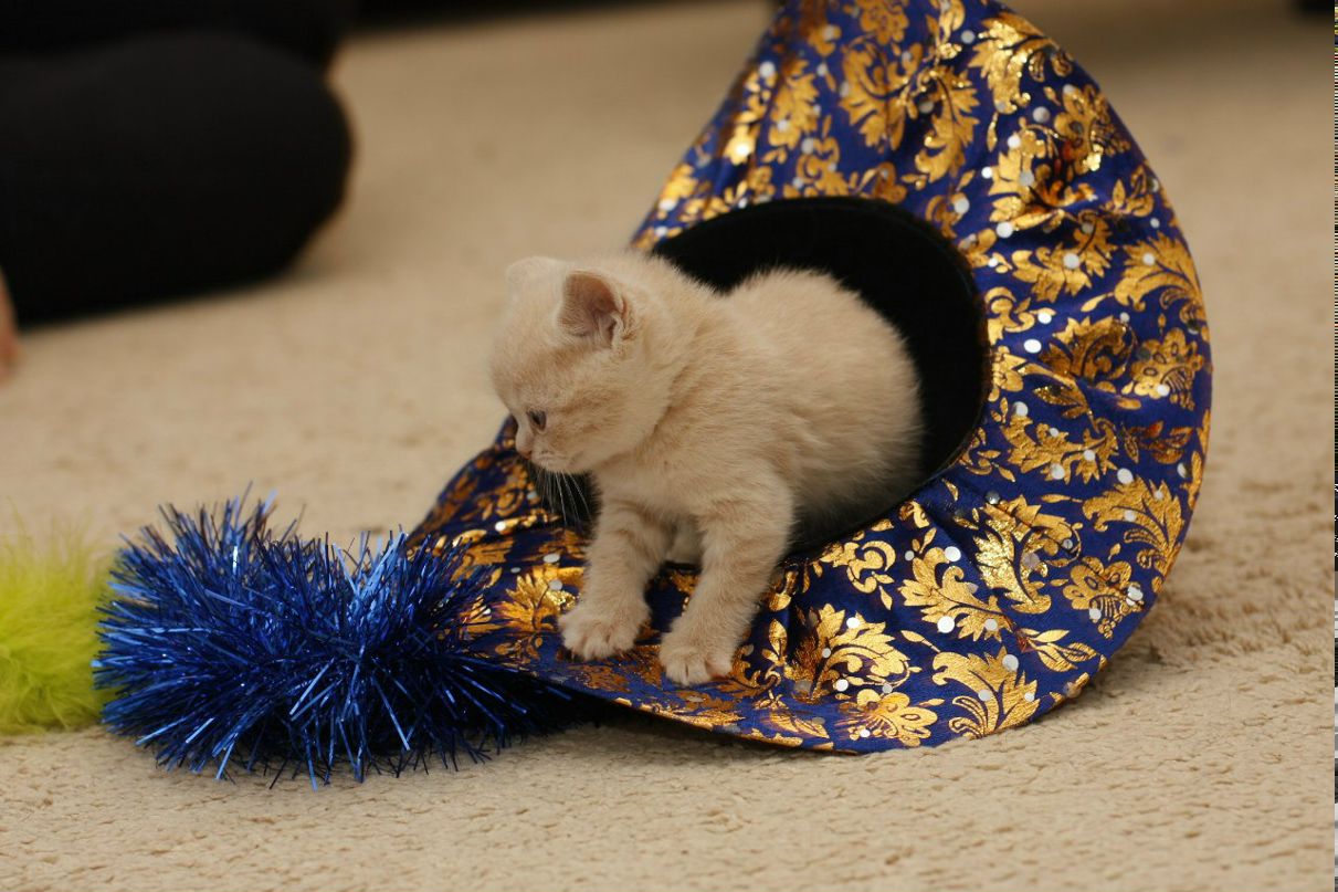 Оксана Морозова | Санкт-Петербург