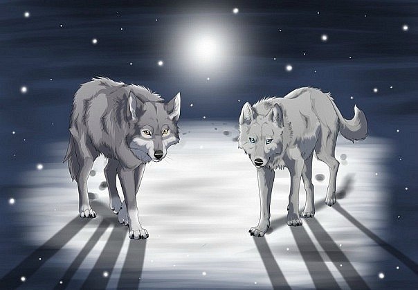 Анастасия Воробьёва | Москва