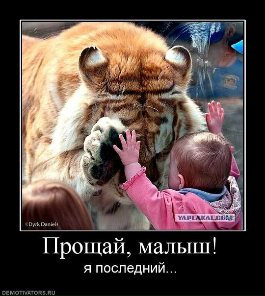 №49, Иван Вениаминович, Снегиревка №49, Иван Вениаминович, Снегиревка